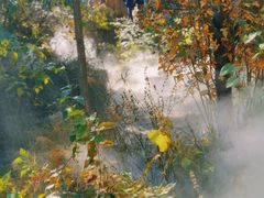 -北京西山国家森林公园