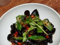 爽口木耳-晋家门(文峰广场店)