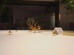-九献创意菜·牛排馆(亮马河花园店)