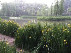 济南森林公园-济南森林公园