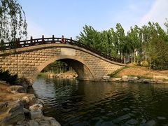 -大兴滨河森林公园