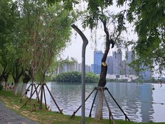 -天鹅湖体育公园