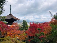 -常寂光寺
