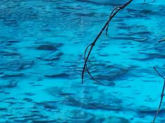 -西姆山居酒店(九寨沟沟口店)