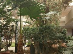 -沈阳师范大学-图书馆