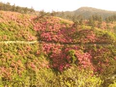 -木兰云雾山
