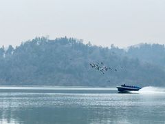 -东湖落雁景区