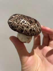 -郑州琅玥月子会所