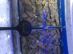-澜悦港海鲜体验主题餐厅