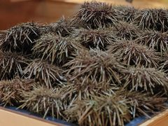 -鮨乐亭Omakase·海胆宴