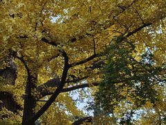 -香山公园-东宫门售票处