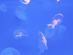 -沈阳海洋探索中心