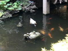 -北园酒家(小北路店)