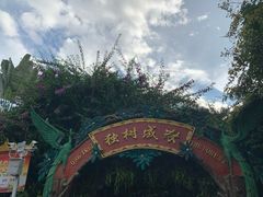 -瑞丽独树成林风景区