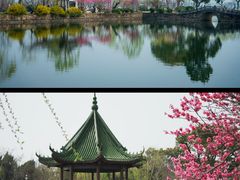 -无锡蠡湖国家湿地公园-蠡园