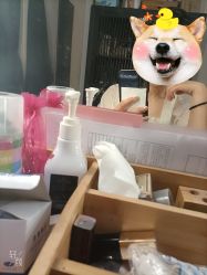 -盘子女人坊古装写真摄影(天津总店)