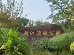 -新江湾城公园