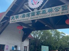 -上海海湾国家森林公园