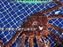 -三亚火车头万人海鲜广场