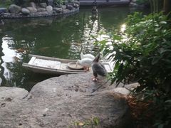 -厦门日月谷温泉渡假村