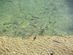 -处女泉风景名胜区