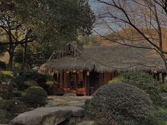 -中国茶叶博物馆(双峰馆区)
