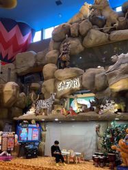 -卡通尼·Safari非洲探索乐园·生日会(金桥国际商业广场店)