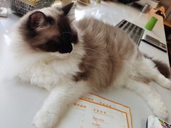 -灯塔咖啡馆BOOK·Coffee Shop