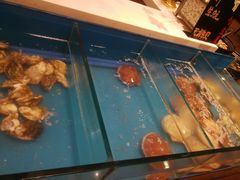 -火舞泰·泰式海鲜火锅餐厅(世纪城店)