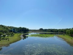-东郊湿地公园