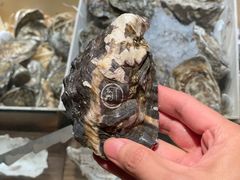 -普朗姆生蚝吧(原建国路店)