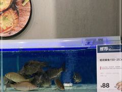 -盒马鲜生(公园1903店)
