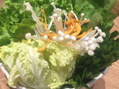 -掂档潮汕牛肉火锅(沈阳万象城店)