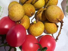 -季季山·云南野生菌火锅(上海首店)
