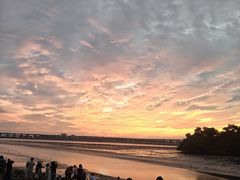 -宝安西湾红树林湿地公园