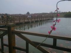 android_upload_pic-上海海湾国家森林公园