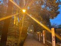 -杭州半山国家森林公园