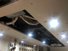 -龙小海荆沙鸽子店(瑞安街店)