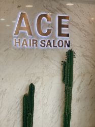 -ACE造型