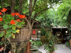 -青城甲(青城山店)