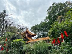 -深圳仙湖植物园