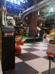 -卡通尼·Safari非洲探索乐园·生日会(金桥国际商业广场店)