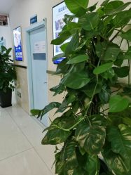 -成都军建医院·疤痕诊疗中心