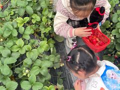 -洪湖家庭农场·团建·露营·会议
