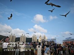 -星海广场
