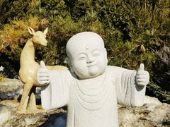 -天津大悲禅院