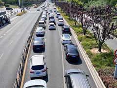 -昆山城市生态森林公园