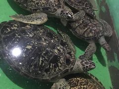 -常州海昌海洋探索馆