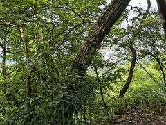 -北高峰