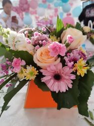 -哈佛宝贝月子会所(登封店)